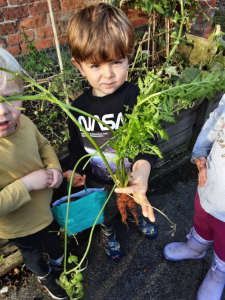 Growing veggies!