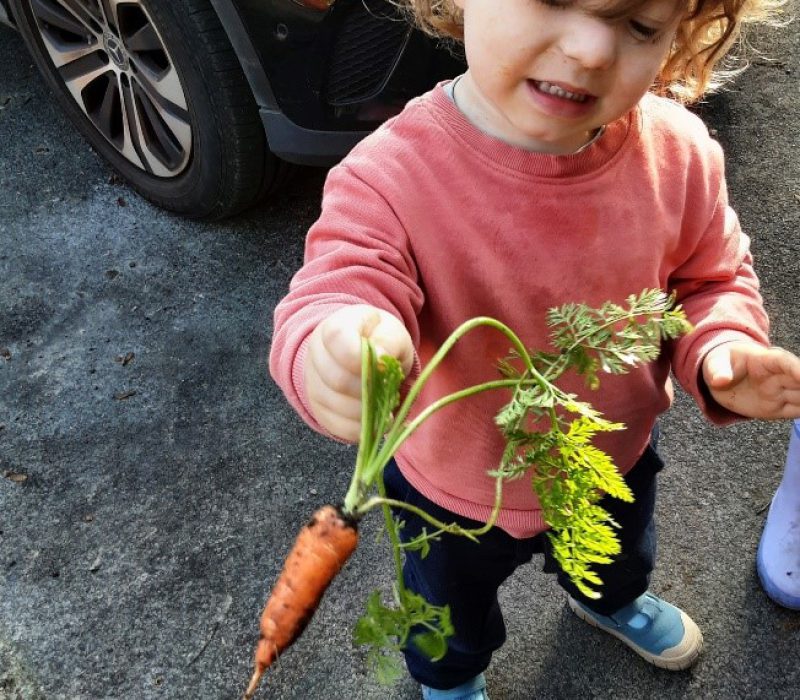 Growing veggie 3